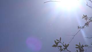 Straight up, partial sun